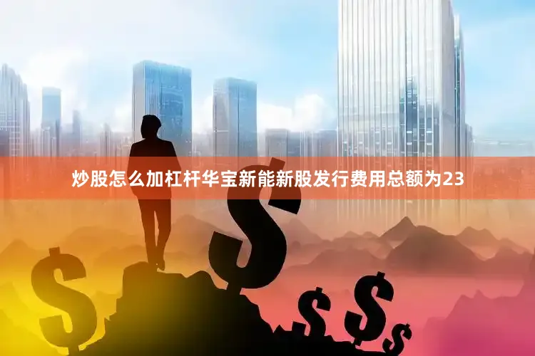 炒股怎么加杠杆华宝新能新股发行费用总额为23