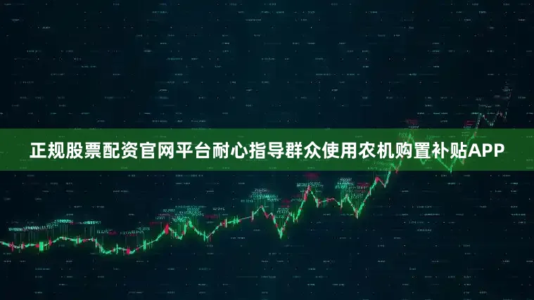 正规股票配资官网平台耐心指导群众使用农机购置补贴APP