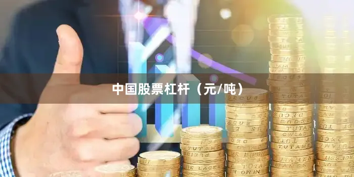 中国股票杠杆（元/吨）