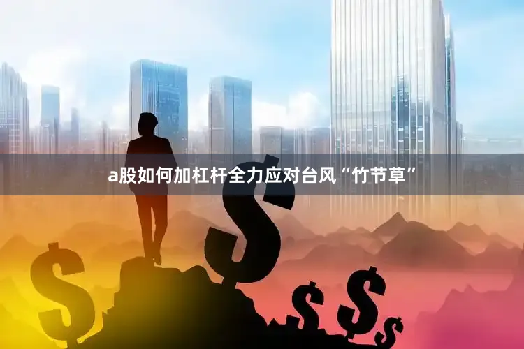 a股如何加杠杆全力应对台风“竹节草”