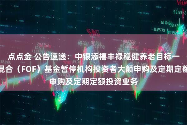 点点金 公告速递：中银添禧丰禄稳健养老目标一年持有期混合（FOF）基金暂停机构投资者大额申购及定期定额投资业务