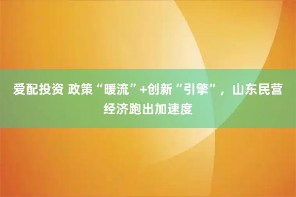 爱配投资 政策“暖流”+创新“引擎”，山东民营经济跑出加速度